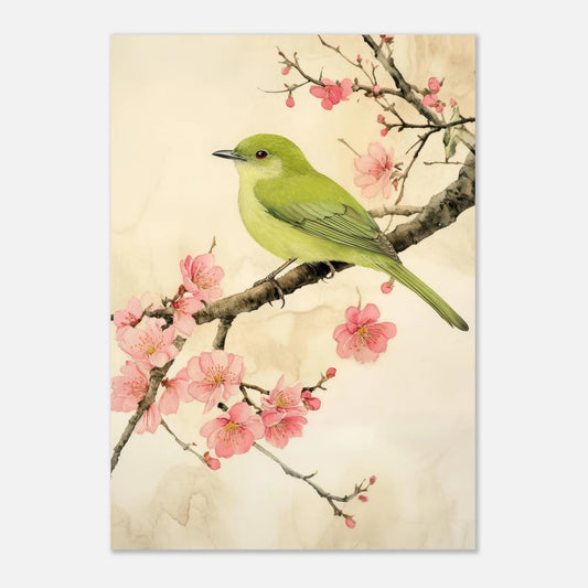 Cherry blossom bird poster - Sillystroke