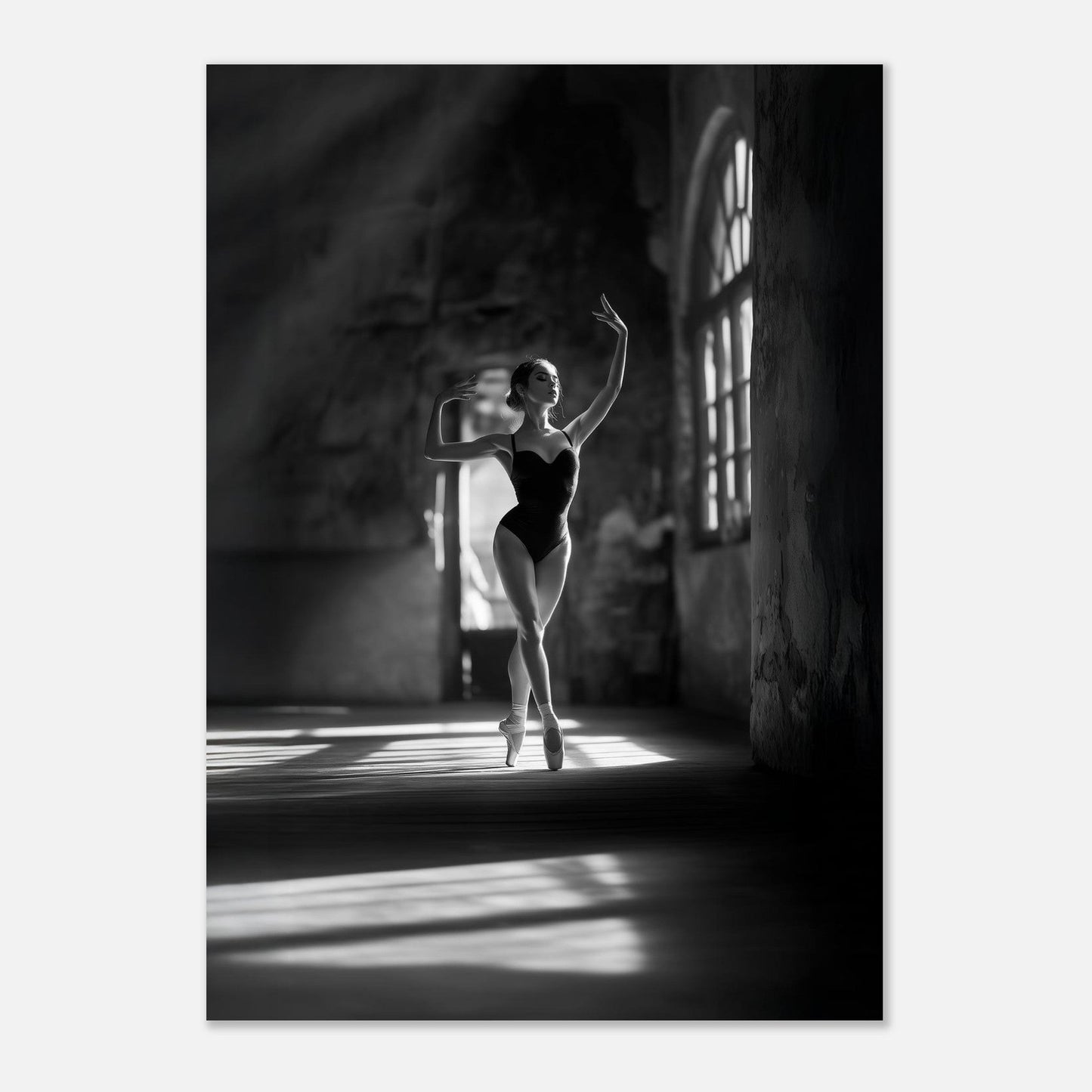 Elegant ballet poster - Sillystroke