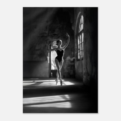 Elegant ballet poster - Sillystroke