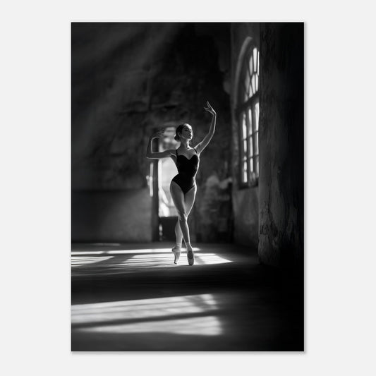 Elegant ballet poster - Sillystroke