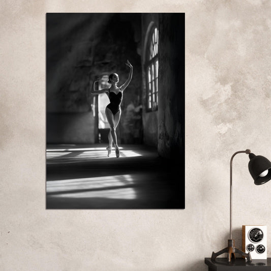 Elegant ballet poster - Sillystroke