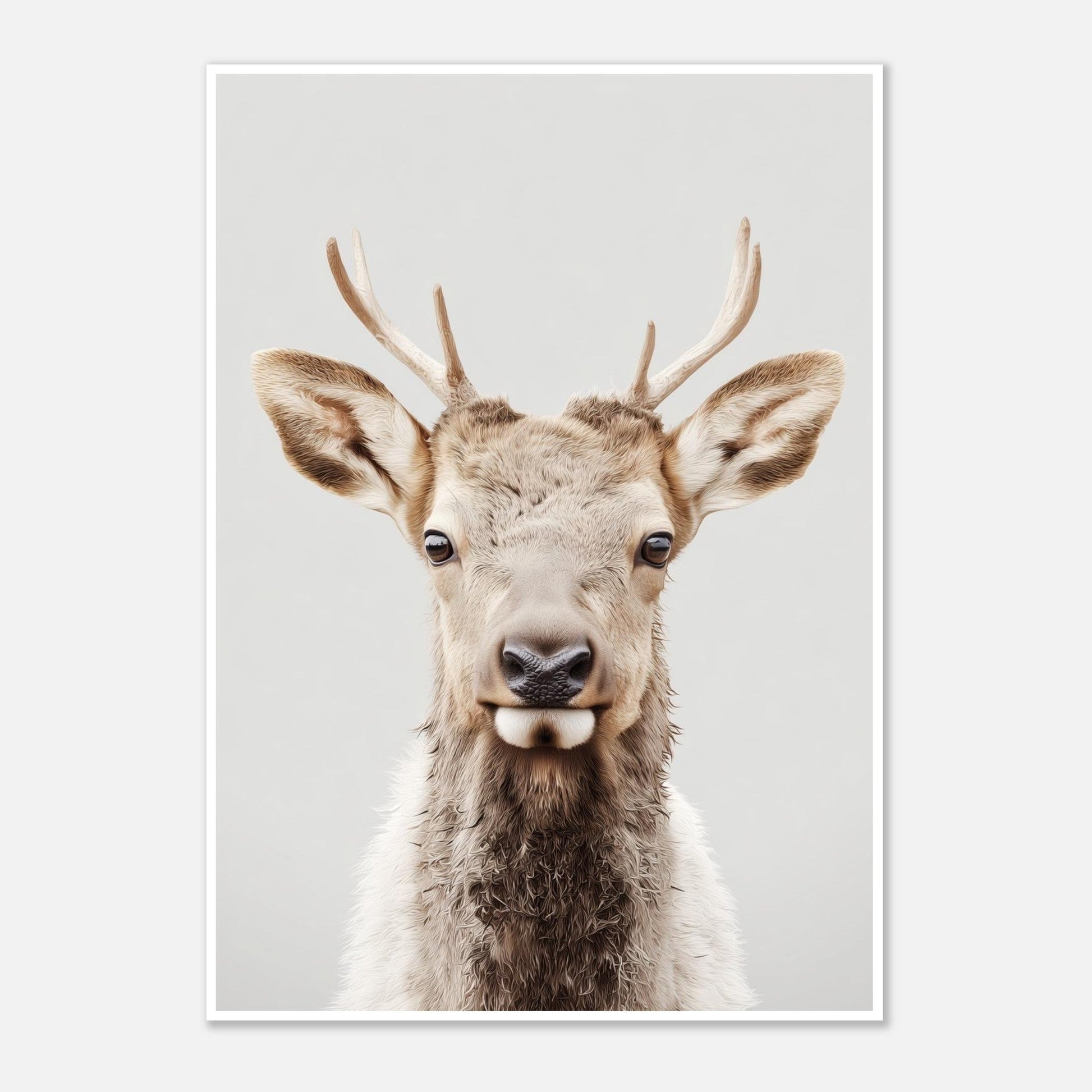 Elk portrait poster - Sillystroke