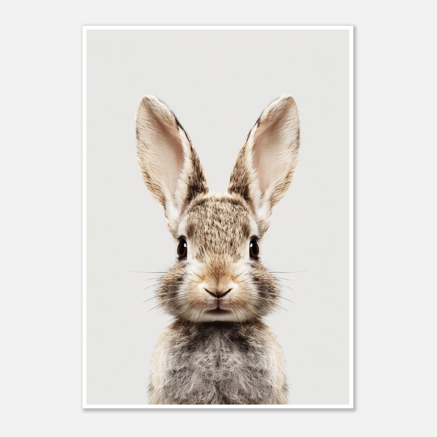 Rabbit Portrait Poster - Sillystroke