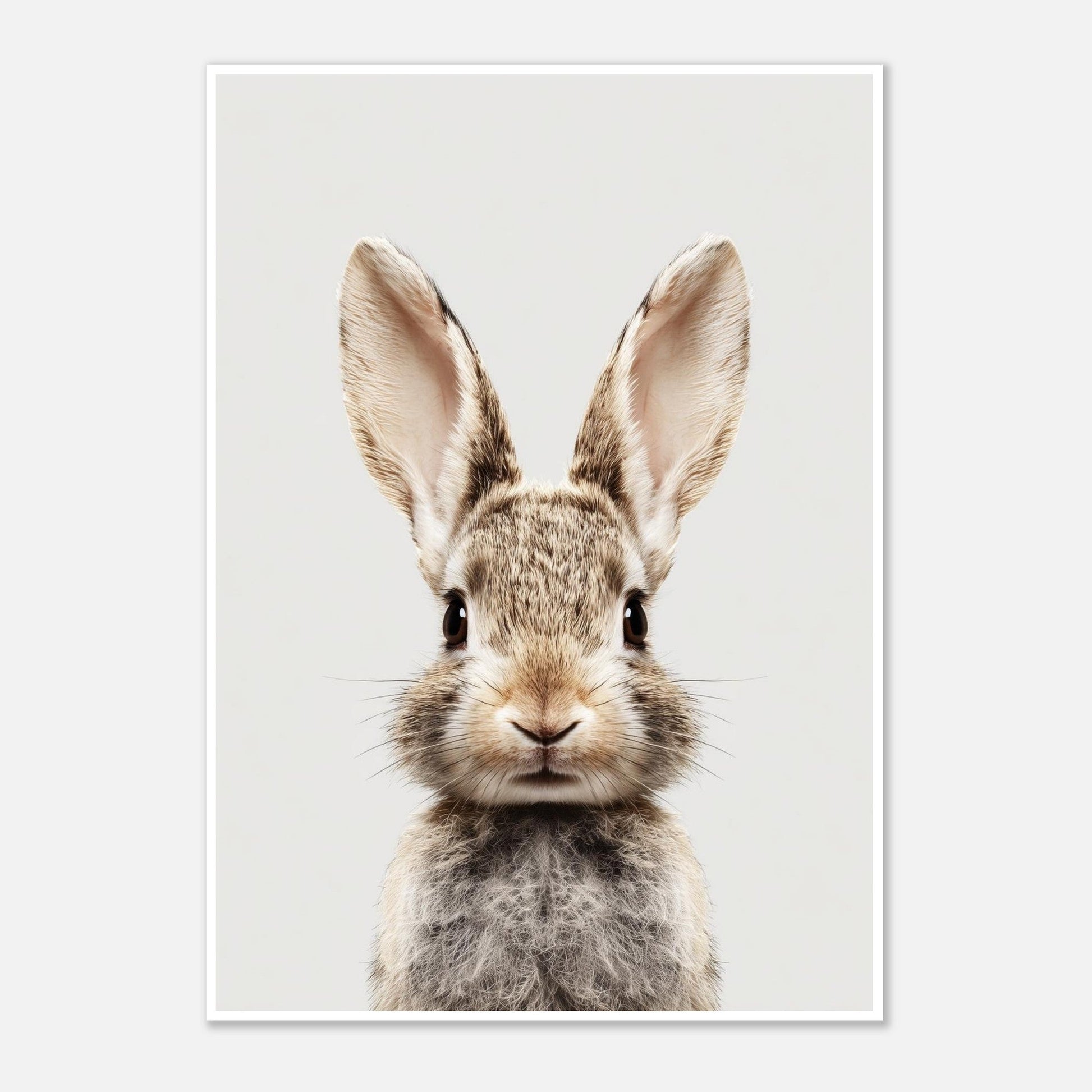 Rabbit Portrait Poster - Sillystroke
