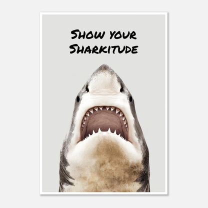 Show your Sharkitude poster - Sillystroke