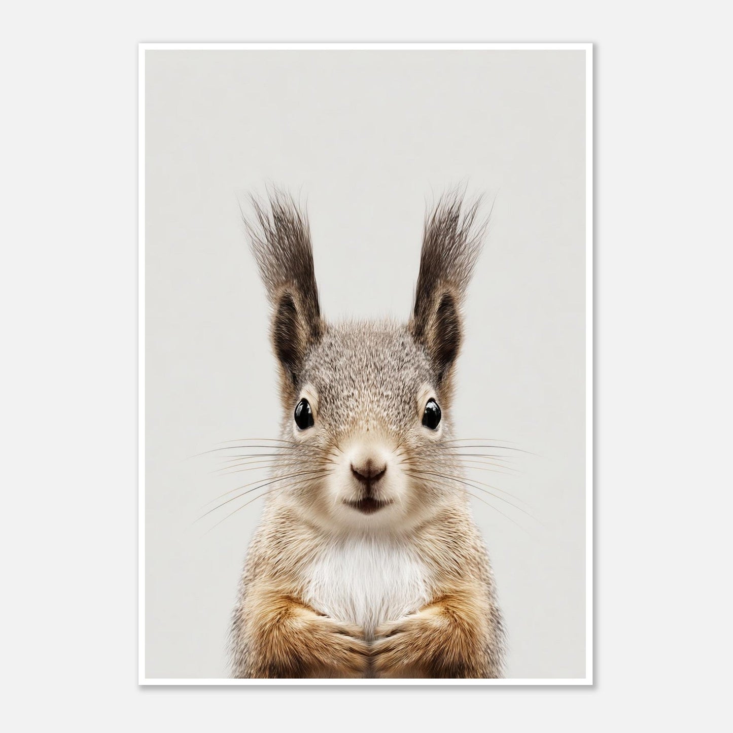 Squirrel portrait poster - Sillystroke