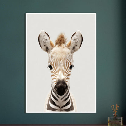 Zebra portrait poster - Sillystroke