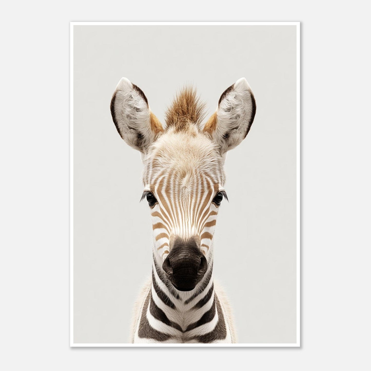 Zebra portrait poster - Sillystroke